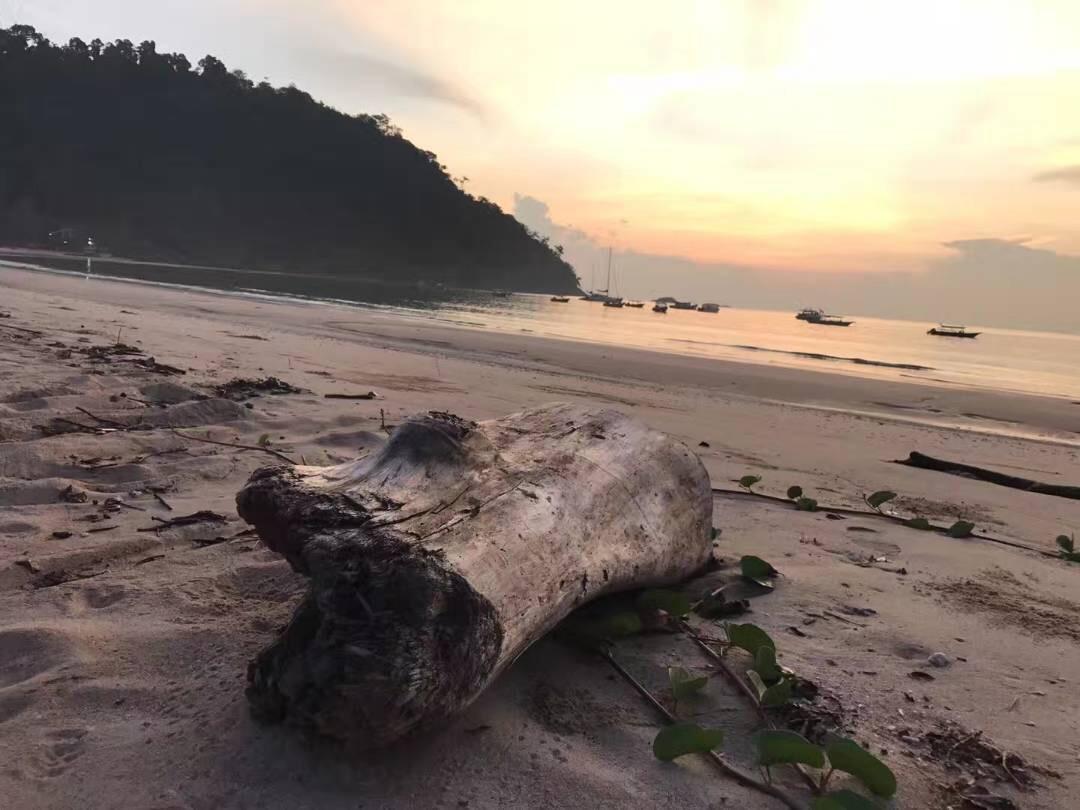 Juara Bay Resort Ostrov Tioman Exteriér fotografie